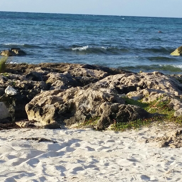 Meet your POSH AMBASSADOR 😊 - Picture 2 of 2